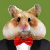 Crypto Hamster Crypto Hamster