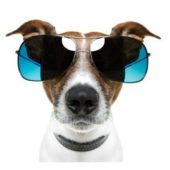 Денис Филипенко