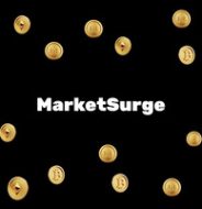 MarketSurge