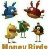 Money Birds Money Birds