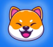 Shibay Coin Shibay Coin