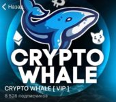 Crypto Whale ltd