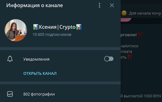 Информация о канале Crypto Ksusha