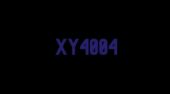 XY4004 one XY4004 one