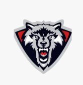 Crypto Wolf P2P Crypto Wolf P2P