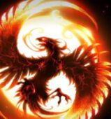 Phoenix Trade Phoenix Trade