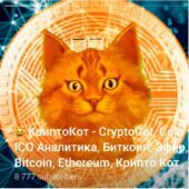 КриптоКот КриптоКот