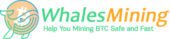 Whales Mining Whales Mining
