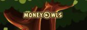 Money Owls Money Owls