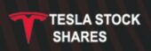Tesla Stock Shares