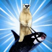 Bitfinex Bearwhale Bitfinex Bearwhale