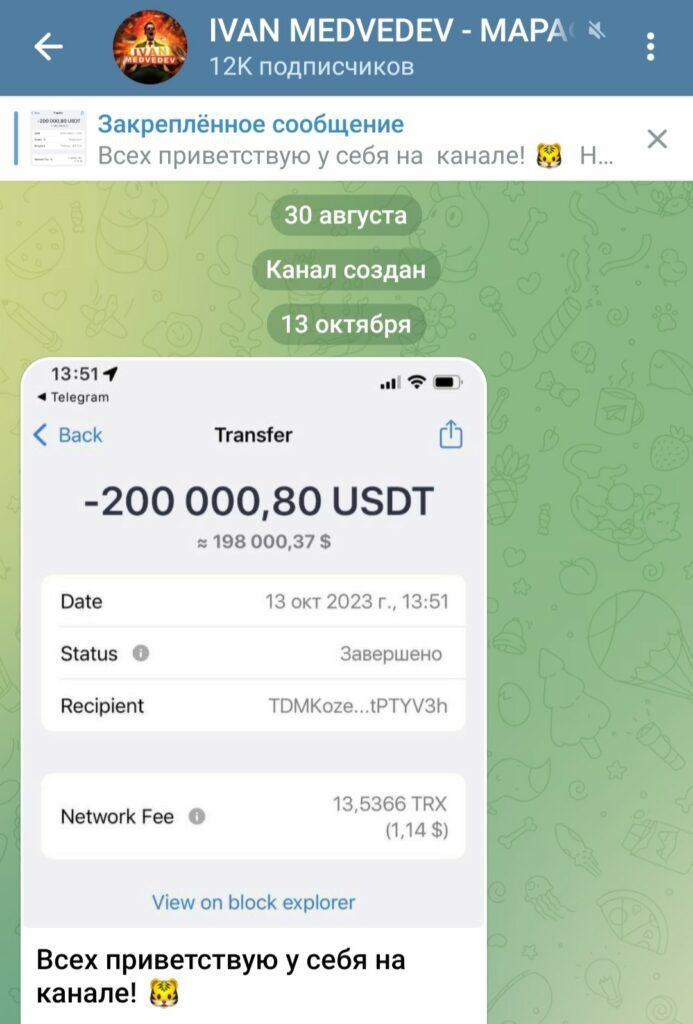 Иван Медведев трейдер обзор