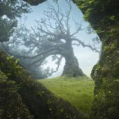 Закон Третта Закон Третта