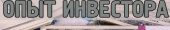 Опыт инвестора