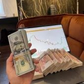 Trade Bull Trade Bull