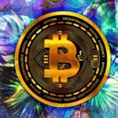 Netextrade Com Netextrade Com